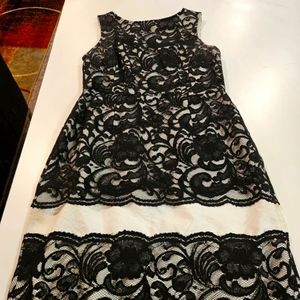 Women's The Limited Lace Size 10 Dress A-line Black And White Lace!